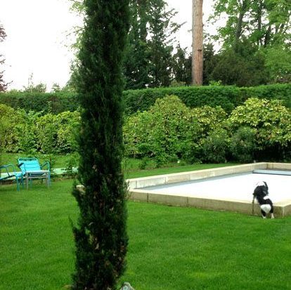 Gabriel GUYOT Paysagiste - Création et entretien de jardins, piscines et toitures végétales à Saint-Symphorien-sur-Coise dans le Rhône