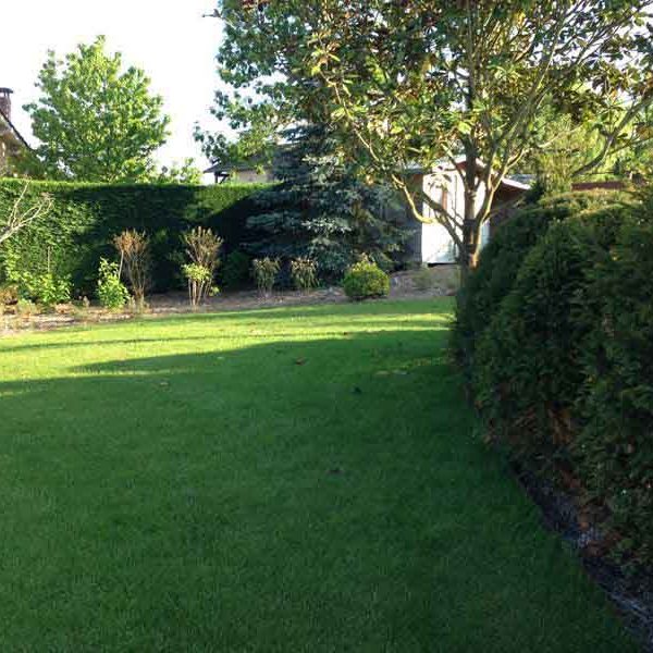 Gabriel GUYOT Paysagiste - Création et entretien de jardins, piscines et toitures végétales à Saint-Symphorien-sur-Coise dans le Rhône