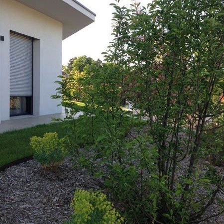 Gabriel GUYOT Paysagiste - Création et entretien de jardins, piscines et toitures végétales à Saint-Symphorien-sur-Coise dans le Rhône