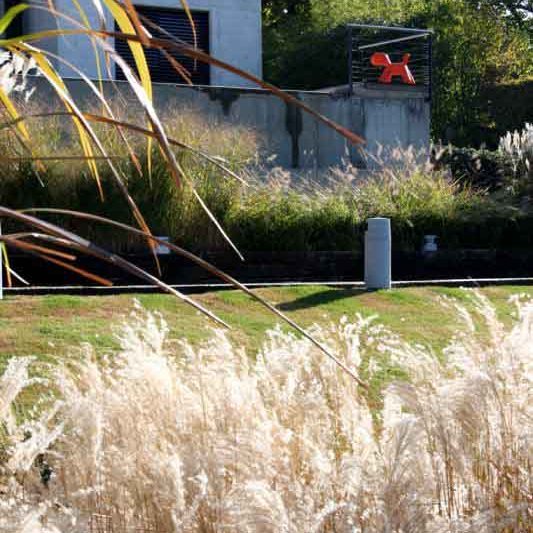 Gabriel GUYOT Paysagiste - Création et entretien de jardins, piscines et toitures végétales à Saint-Symphorien-sur-Coise dans le Rhône
