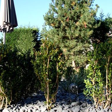 Gabriel GUYOT Paysagiste - Création et entretien de jardins, piscines et toitures végétales à Saint-Symphorien-sur-Coise dans le Rhône