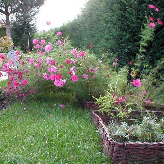 Gabriel GUYOT Paysagiste - Création et entretien de jardins, piscines et toitures végétales à Saint-Symphorien-sur-Coise dans le Rhône