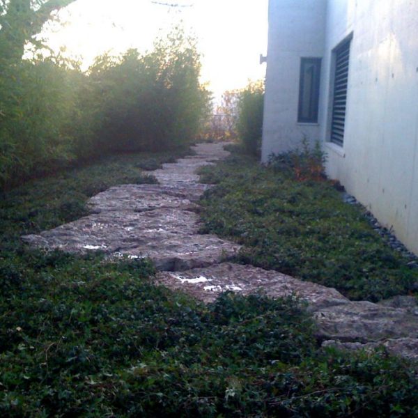 Gabriel GUYOT Paysagiste - Création et entretien de jardins, piscines et toitures végétales à Saint-Symphorien-sur-Coise dans le Rhône