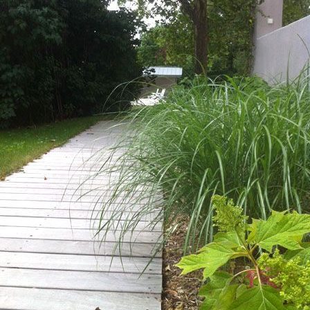 Gabriel GUYOT Paysagiste - Création et entretien de jardins, piscines et toitures végétales à Saint-Symphorien-sur-Coise dans le Rhône