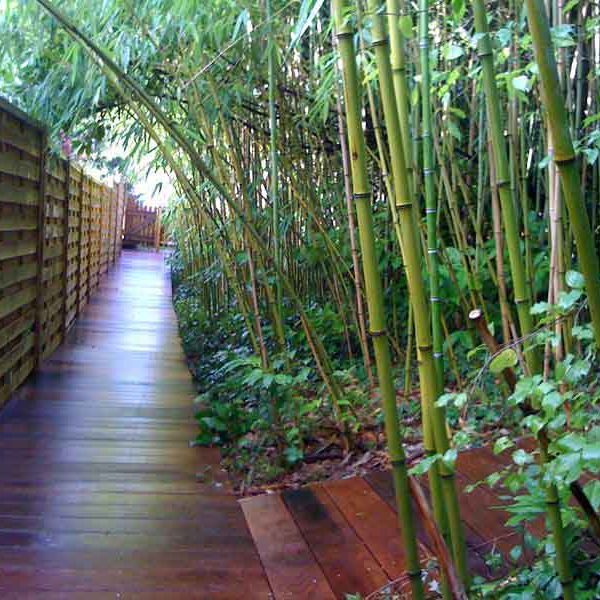Gabriel GUYOT Paysagiste - Création et entretien de jardins, piscines et toitures végétales à Saint-Symphorien-sur-Coise dans le Rhône