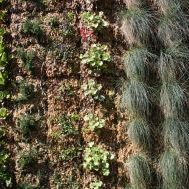 Gabriel GUYOT Paysagiste - Création et entretien de jardins, piscines et toitures végétales à Saint-Symphorien-sur-Coise dans le Rhône