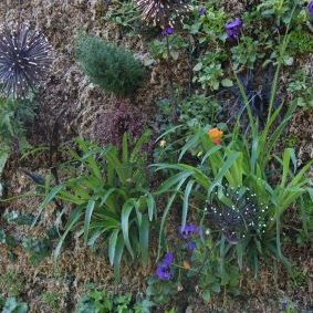 Gabriel GUYOT Paysagiste - Création et entretien de jardins, piscines et toitures végétales à Saint-Symphorien-sur-Coise dans le Rhône