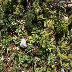 Gabriel GUYOT Paysagiste - Création et entretien de jardins, piscines et toitures végétales à Saint-Symphorien-sur-Coise dans le Rhône