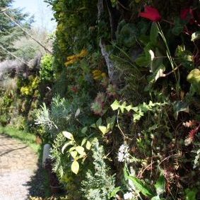 Gabriel GUYOT Paysagiste - Création et entretien de jardins, piscines et toitures végétales à Saint-Symphorien-sur-Coise dans le Rhône