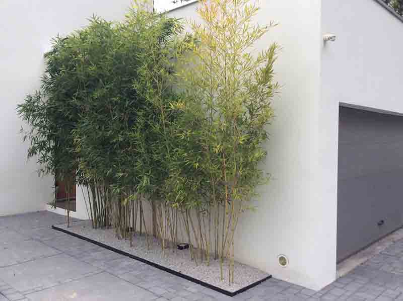 Gabriel GUYOT Paysagiste - Création et entretien de jardins, piscines et toitures végétales à Saint-Symphorien-sur-Coise dans le Rhône