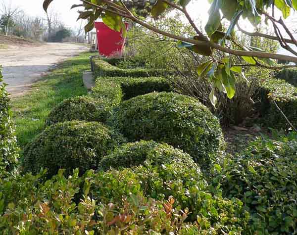 Gabriel GUYOT Paysagiste - Création et entretien de jardins, piscines et toitures végétales à Saint-Symphorien-sur-Coise dans le Rhône