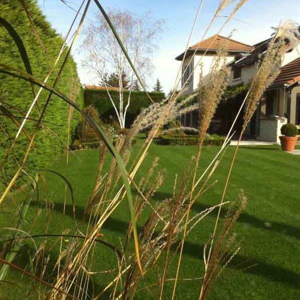 Gabriel GUYOT Paysagiste - Création et entretien de jardins, piscines et toitures végétales à Saint-Symphorien-sur-Coise dans le Rhône