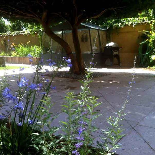 Gabriel GUYOT Paysagiste - Création et entretien de jardins, piscines et toitures végétales à Saint-Symphorien-sur-Coise dans le Rhône