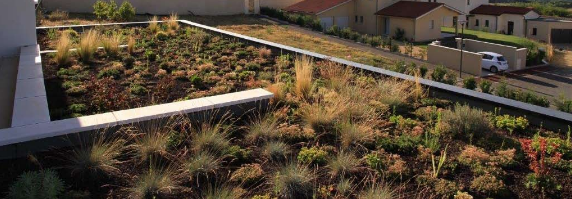 Gabriel GUYOT Paysagiste - Création et entretien de jardins, piscines et toitures végétales à Saint-Symphorien-sur-Coise dans le Rhône