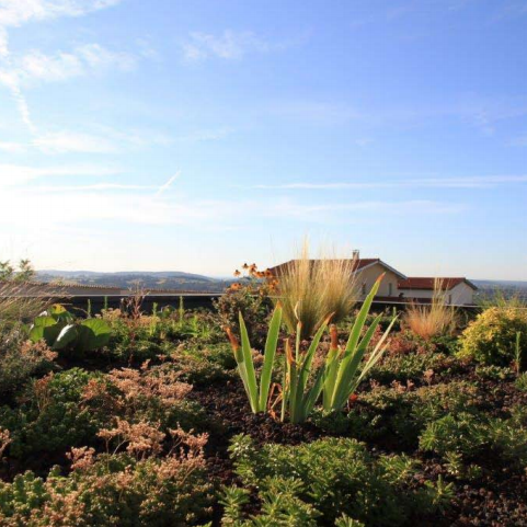 Gabriel GUYOT Paysagiste - Création et entretien de jardins, piscines et toitures végétales à Saint-Symphorien-sur-Coise dans le Rhône