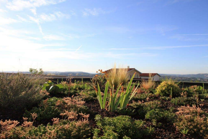 Gabriel GUYOT Paysagiste - Création et entretien de jardins, piscines et toitures végétales à Saint-Symphorien-sur-Coise dans le Rhône