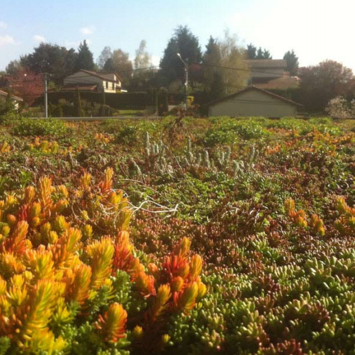 Gabriel GUYOT Paysagiste - Création et entretien de jardins, piscines et toitures végétales à Saint-Symphorien-sur-Coise dans le Rhône