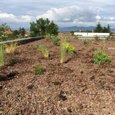 Gabriel GUYOT Paysagiste - Création et entretien de jardins, piscines et toitures végétales à Saint-Symphorien-sur-Coise dans le Rhône