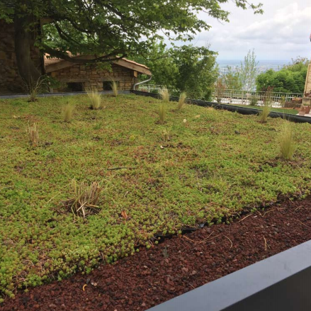Gabriel GUYOT Paysagiste - Création et entretien de jardins, piscines et toitures végétales à Saint-Symphorien-sur-Coise dans le Rhône