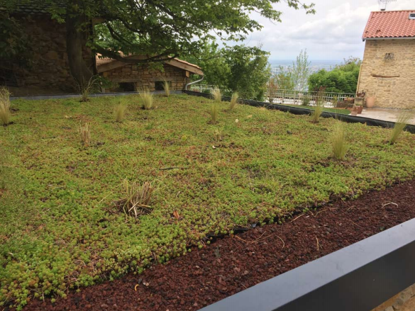 Gabriel GUYOT Paysagiste - Création et entretien de jardins, piscines et toitures végétales à Saint-Symphorien-sur-Coise dans le Rhône