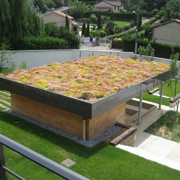 Gabriel GUYOT Paysagiste - Création et entretien de jardins, piscines et toitures végétales à Saint-Symphorien-sur-Coise dans le Rhône
